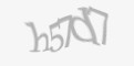 Защитный код